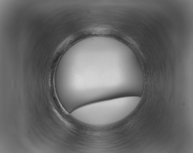 X0000081420686200701120945