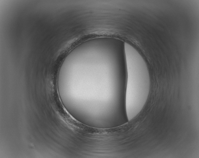 X0000081420688200701120945