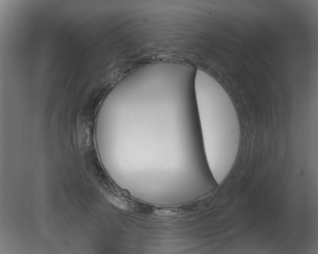 X0000081420703200701120945