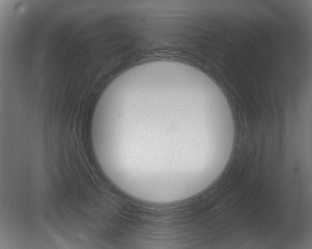X0000081420705200701120945