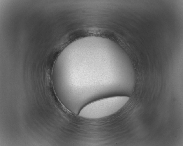 X0000081420707200701120945