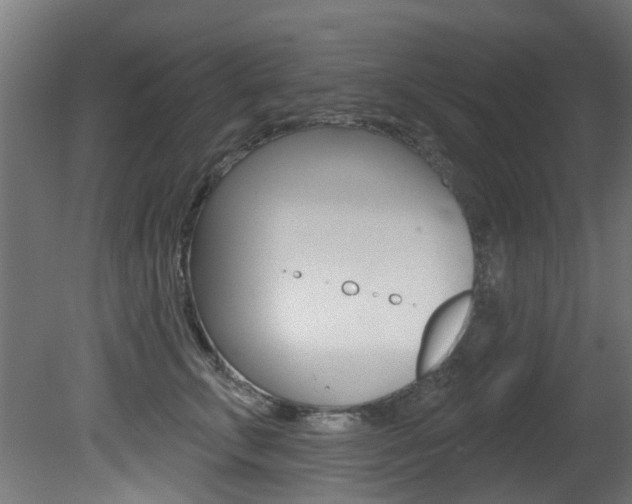 X0000081420711200701120944