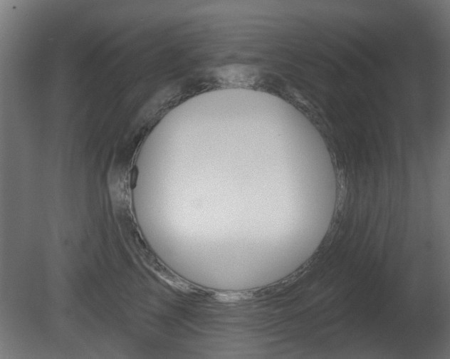 X0000081420713200701120944