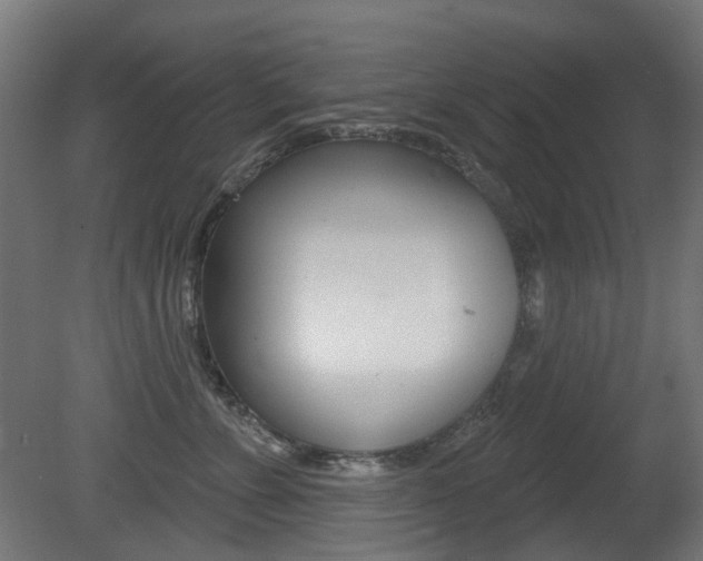 X0000081420715200701120944