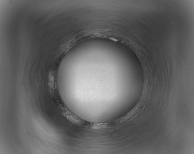 X0000081420720200701120944