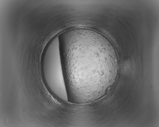 X0000081420721200701120944