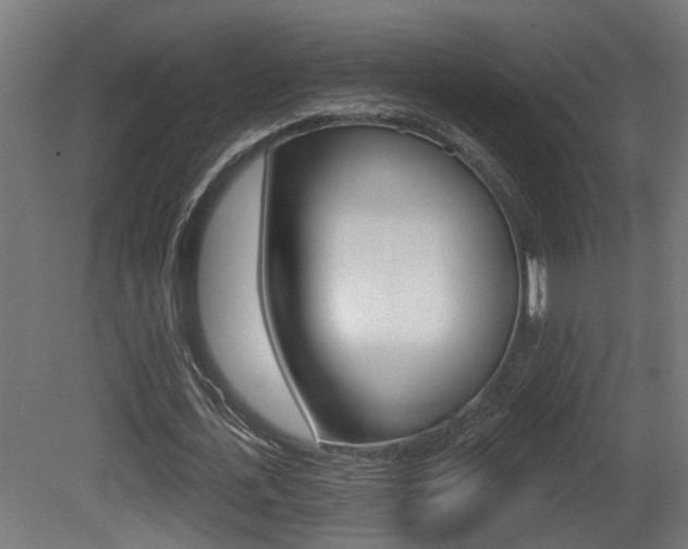X0000081420723200701120944