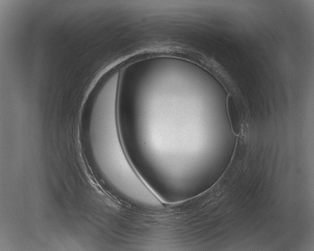 X0000081420724200701120944