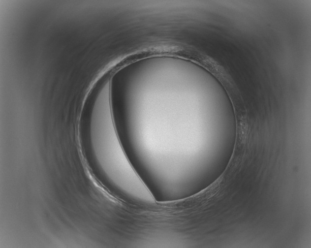 X0000081420726200701120944