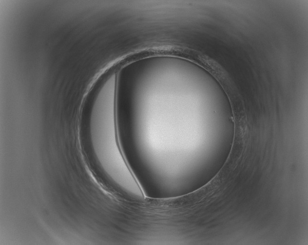 X0000081420728200701120944