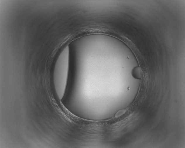 X0000081420729200701120944