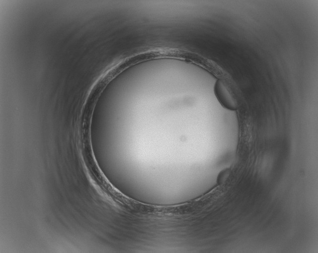 X0000081420730200701120944