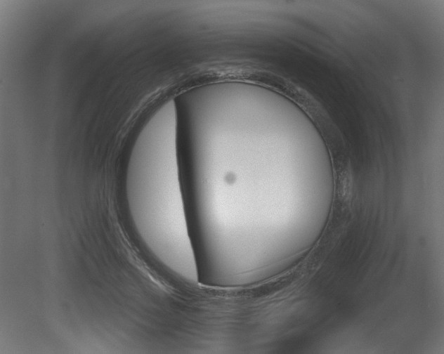 X0000081420733200701120944