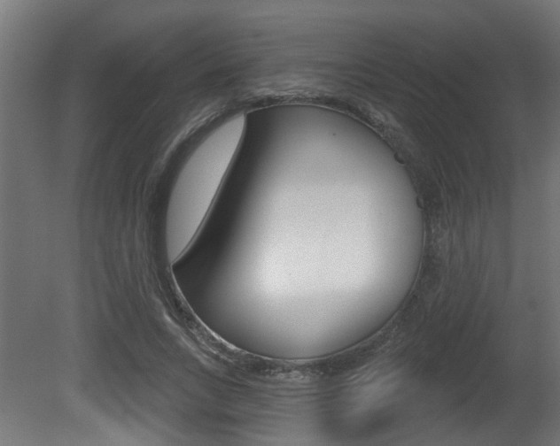 X0000081420735200701120944