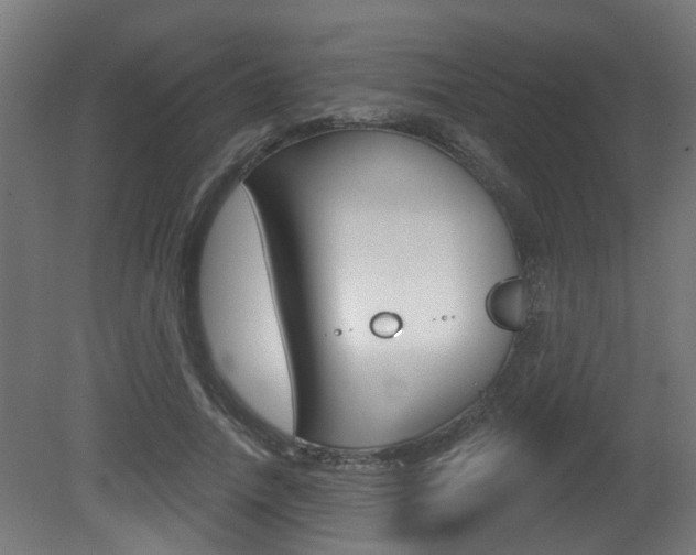 X0000081420738200701120944