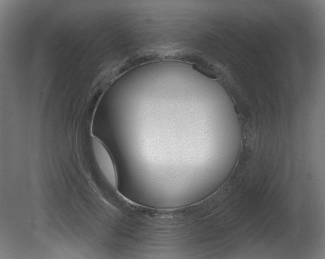 X0000081420740200701120944