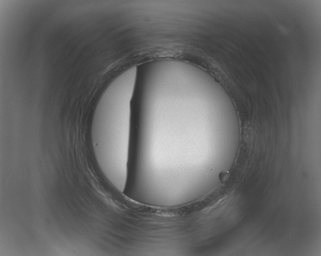 X0000081420741200701120944