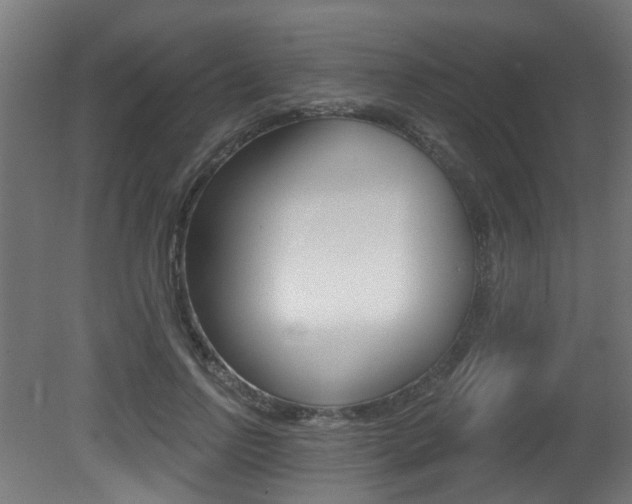 X0000081420742200701120944