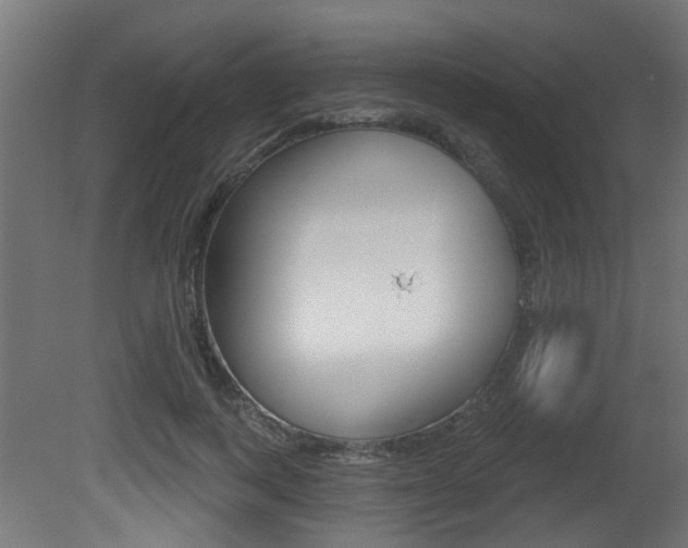 X0000081420743200701120944