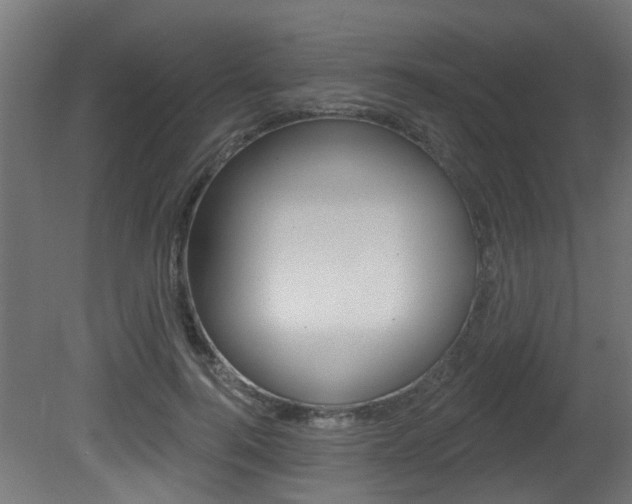X0000081420744200701120944