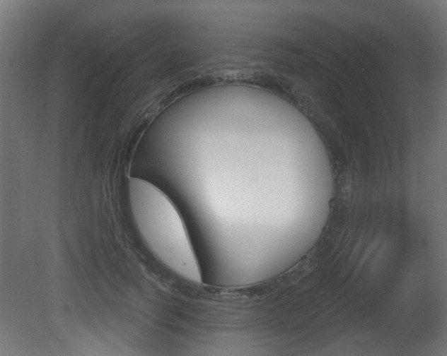 X0000081420746200701120944