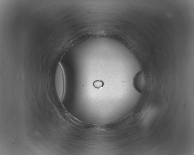 X0000081420747200701120944
