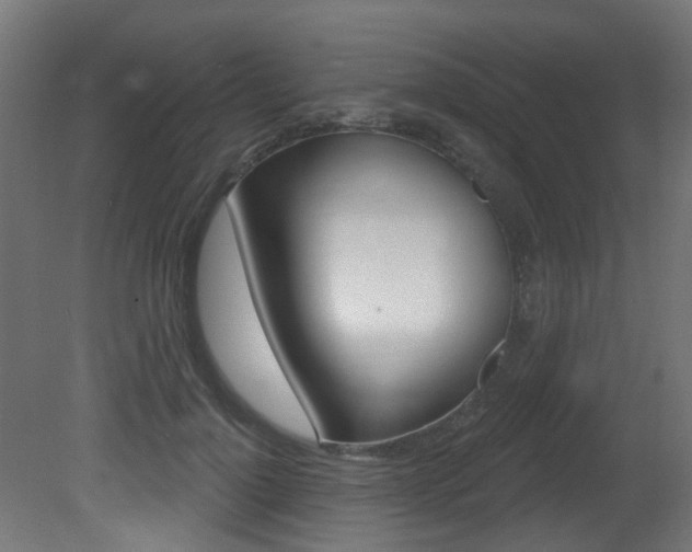 X0000081420748200701120944