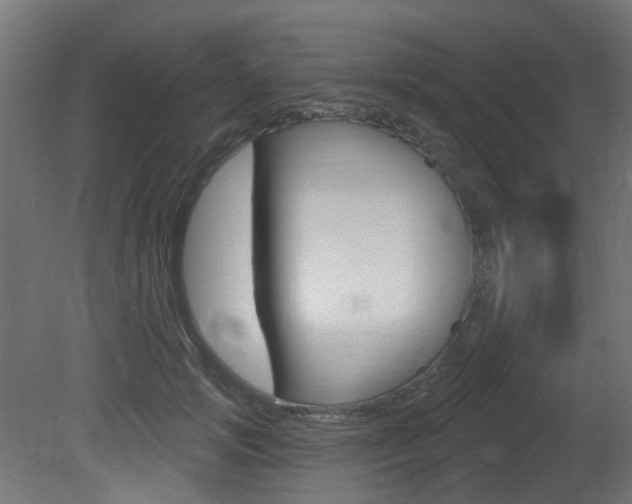 X0000081420749200701120944