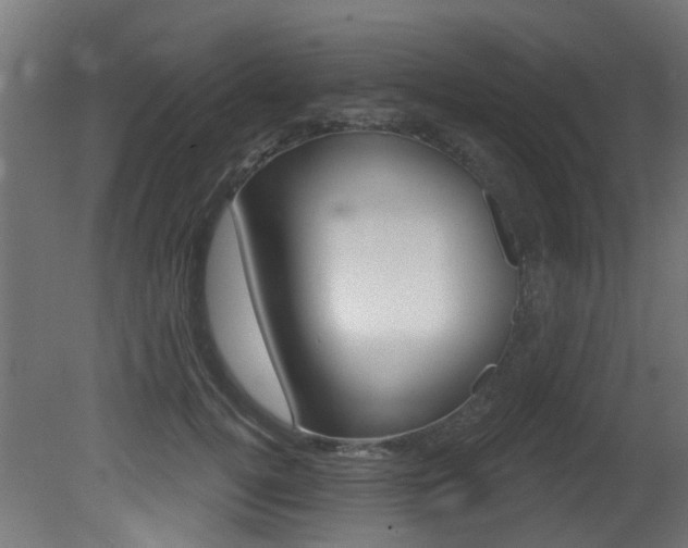 X0000081420752200701120944