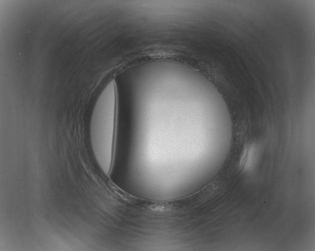 X0000081420755200701120944