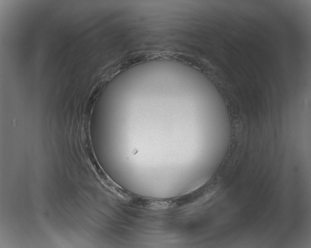 X0000081420757200701120944