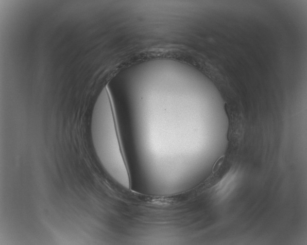 X0000081420758200701120944