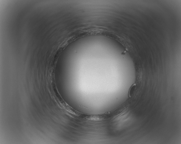 X0000081420759200701120944