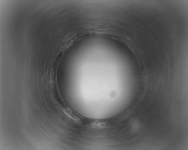 X0000081420760200701120944