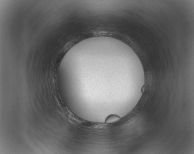 X0000081420761200701120944