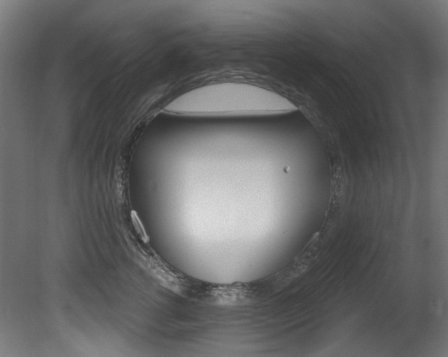 X0000081420762200701120944