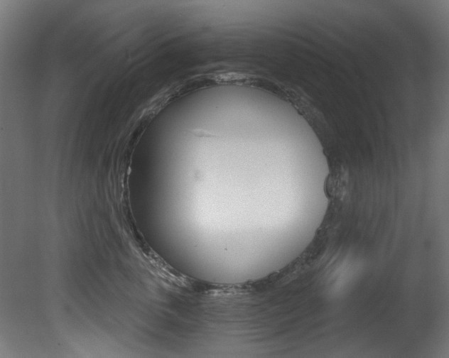 X0000081420763200701120944
