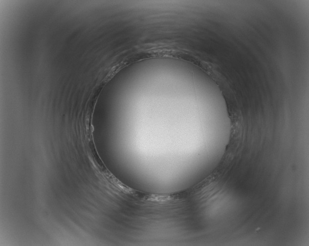 X0000081420767200701120944