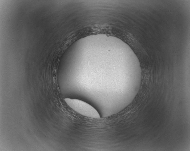 X0000081420770200701120943