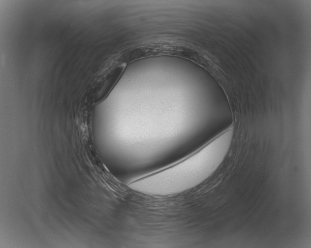 X0000081420771200701120943