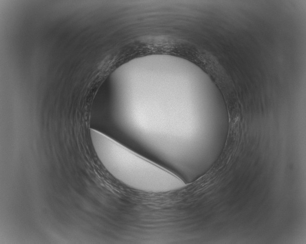 X0000081420772200701120943