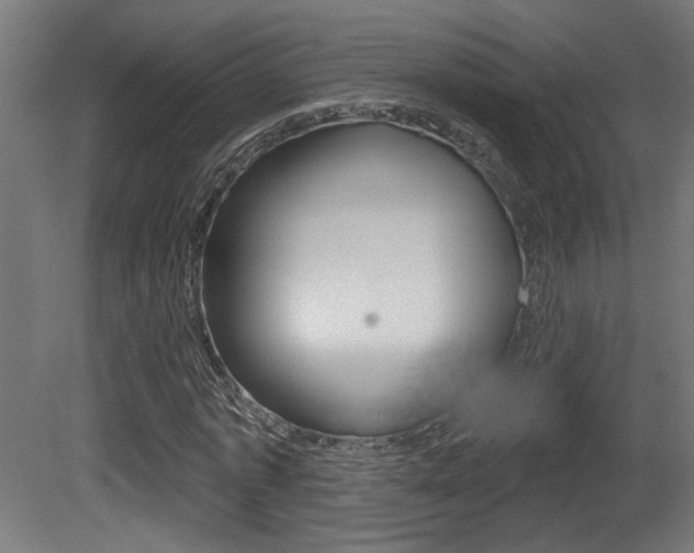 X0000081420773200701120943