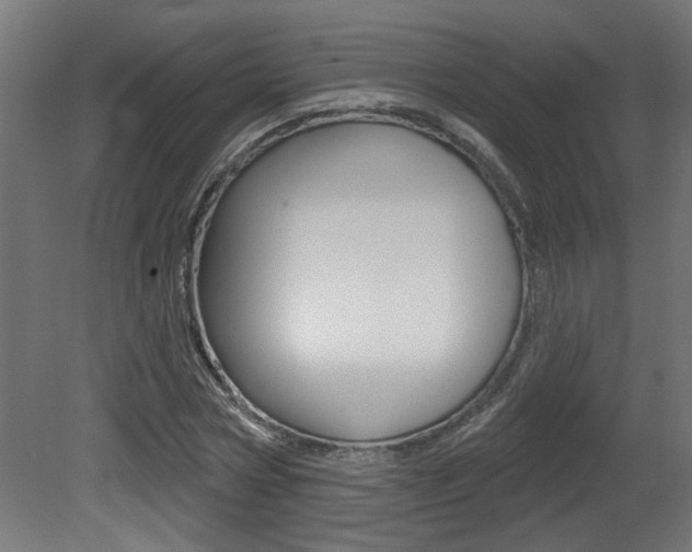 X0000081420778200701120943