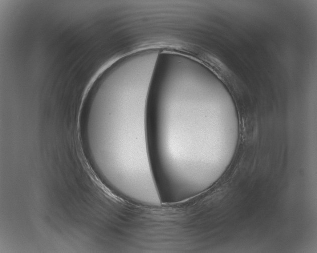 X0000081420780200701120943