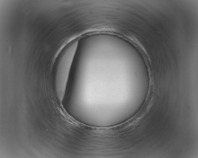 X0000081420781200701120943