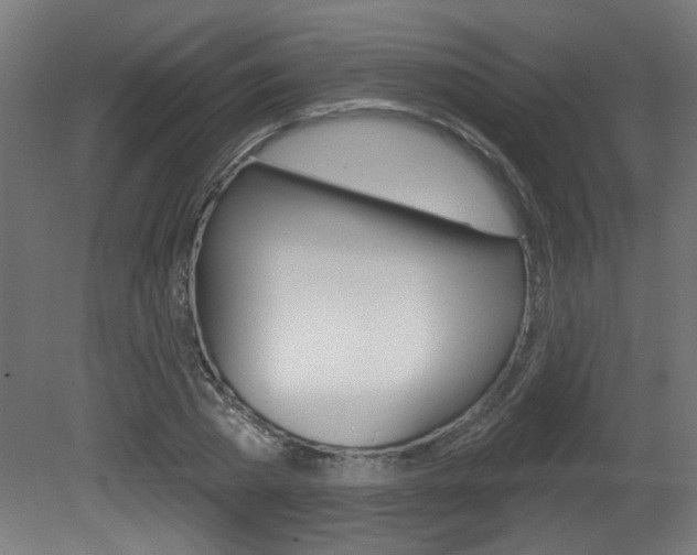 X0000081420785200701120943