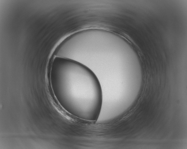 X0000081420788200701120943