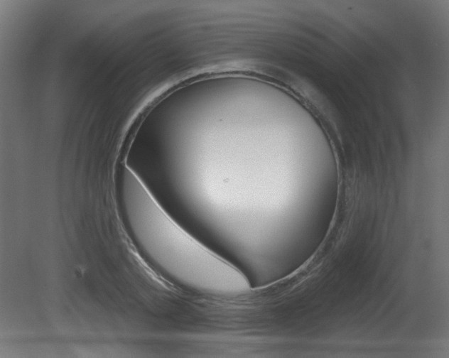 X0000081420789200701120943