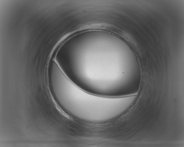 X0000081420792200701120943