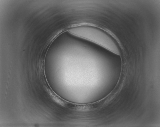 X0000081420793200701120943